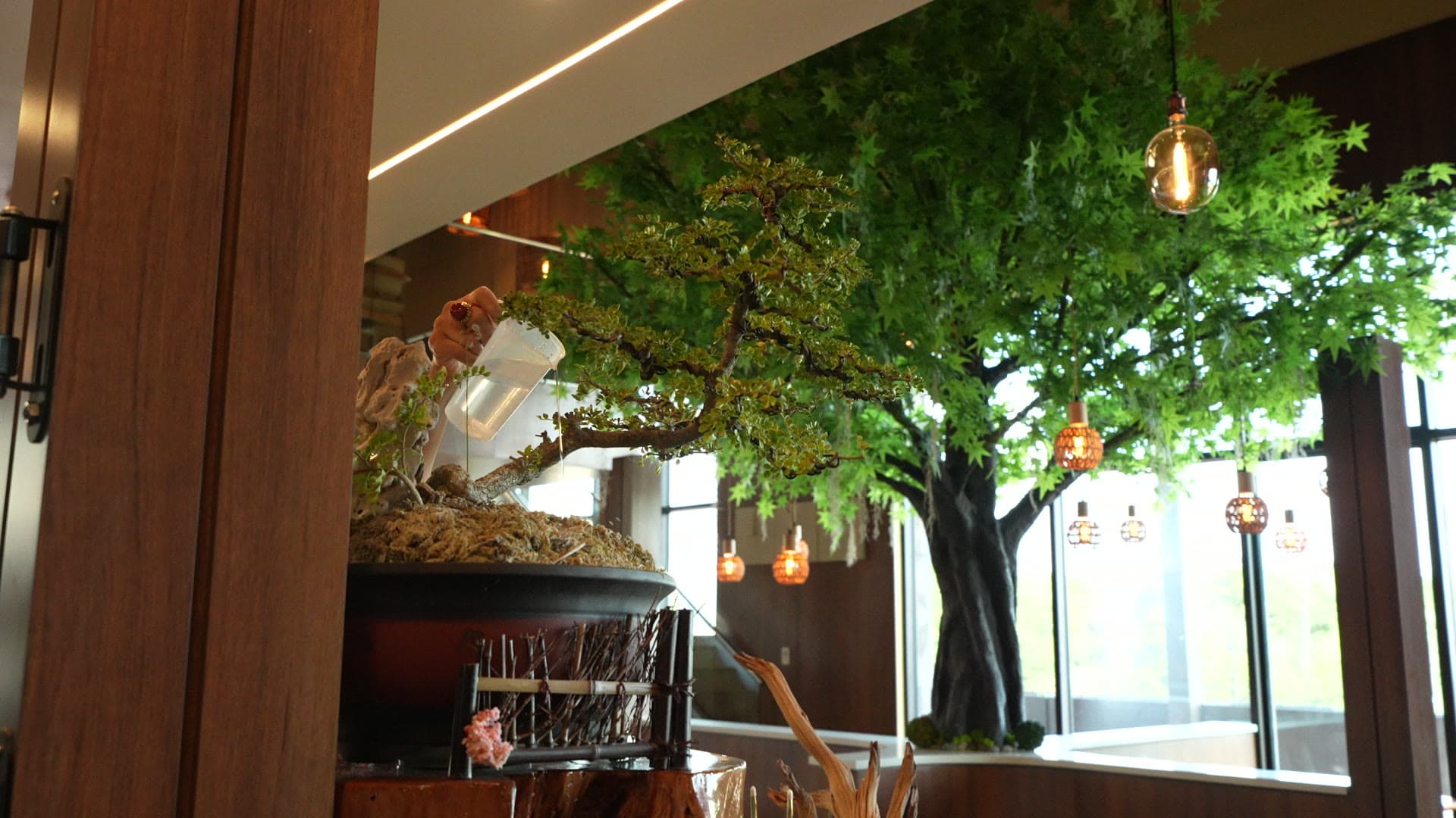 A bonsai being tended beneath the maple canopy at Escape 360 Carrollton