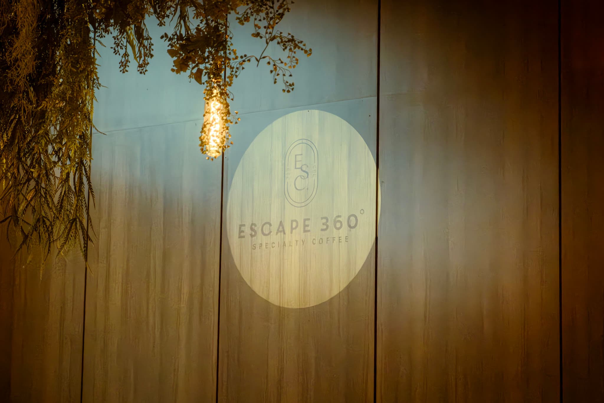 Escape 360 — a warm, light-filled interior wrapped in greenery